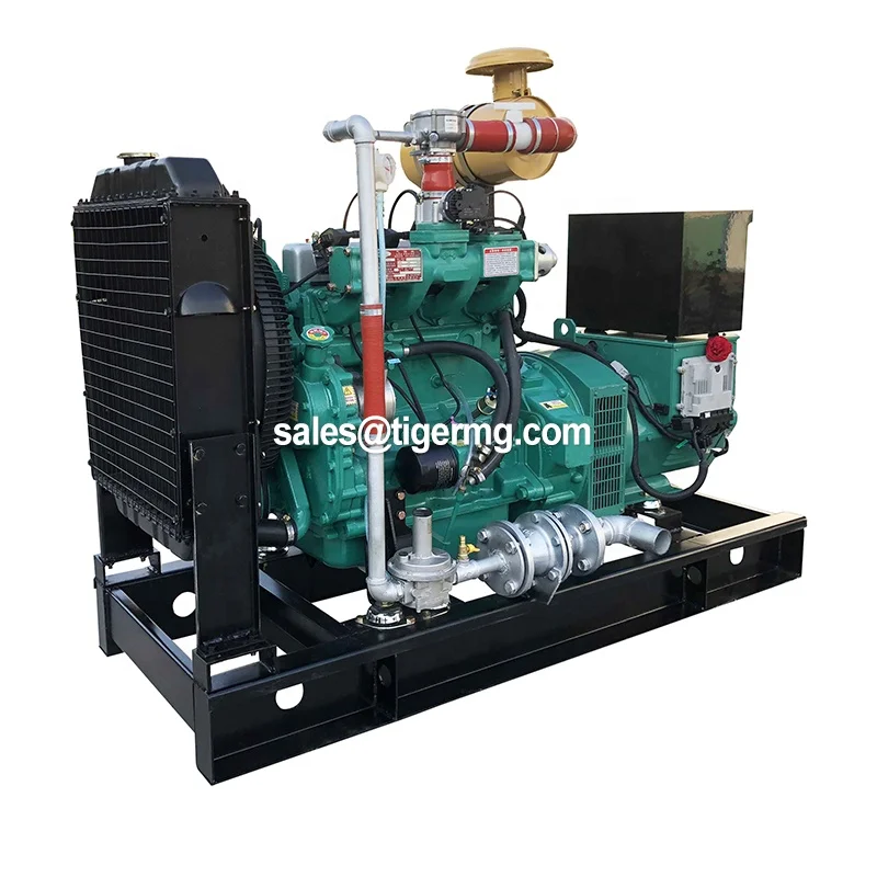 Factory price hot sale biogas plant with waste to generate electricity diag 30kw 40kw