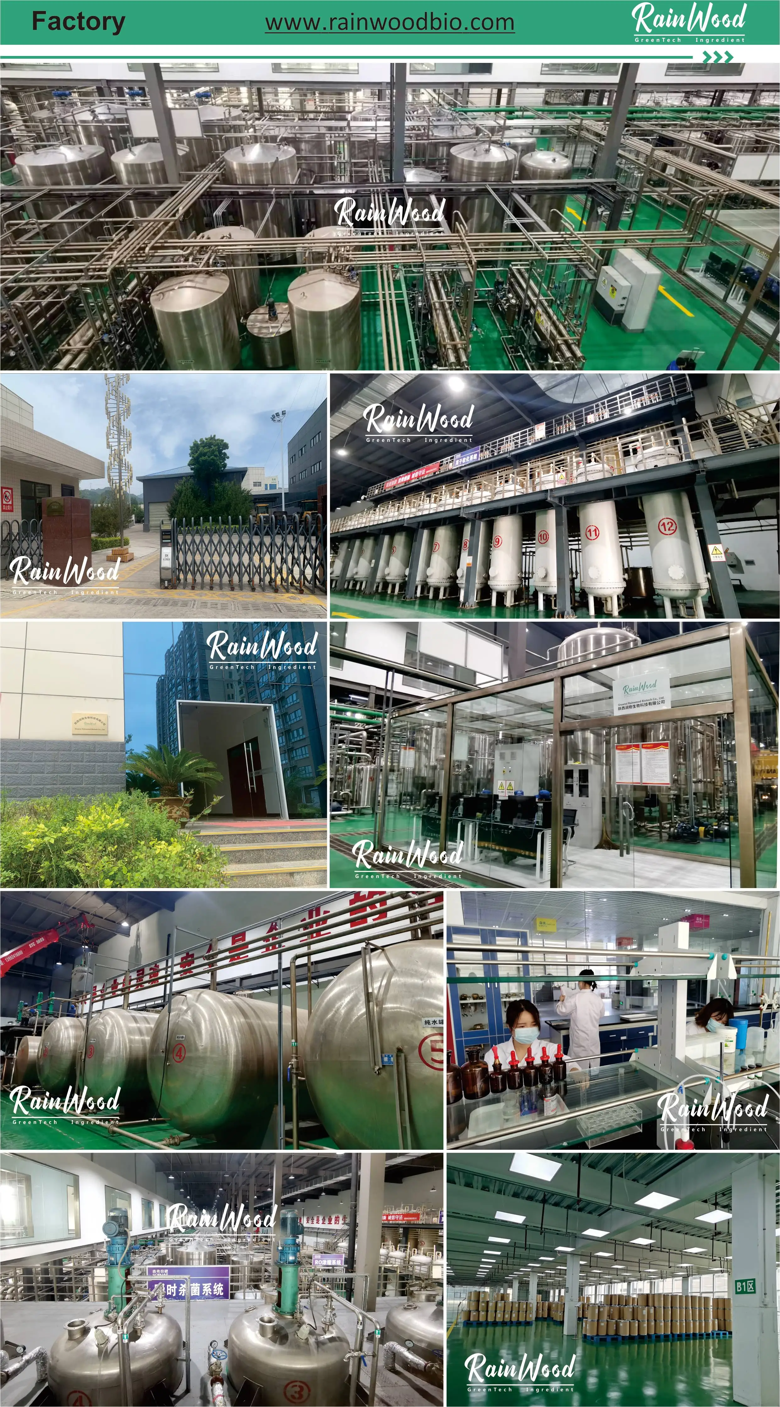 OEM Super Green Powder Organic Super Green Powder Private Label Super Green Powder For Sale