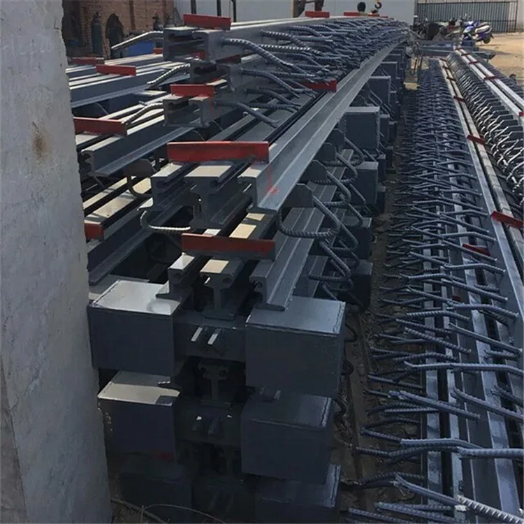 
China Supplier Ruida Modular/Elastomer Rubber/TST Bridge Expansion Joint 
