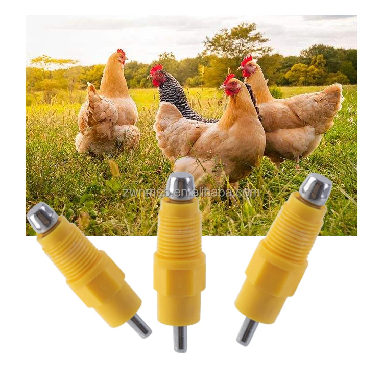 Ball Valve 360 Drinking Nipple Automatic Drinking Nipple For Chicken Water System