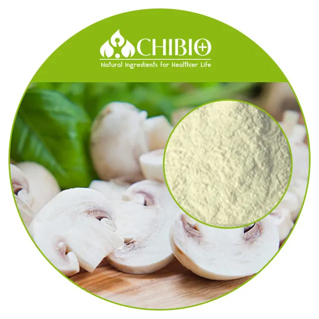 Film Forming Best Choice Factory Supply Hight Quality Fungal Mushroom Chitosan