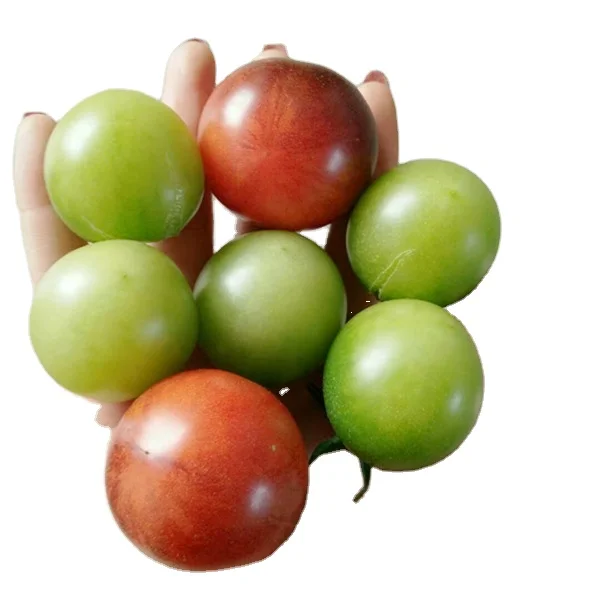 
Green pearl F1 Green cherry small tomato seeds 