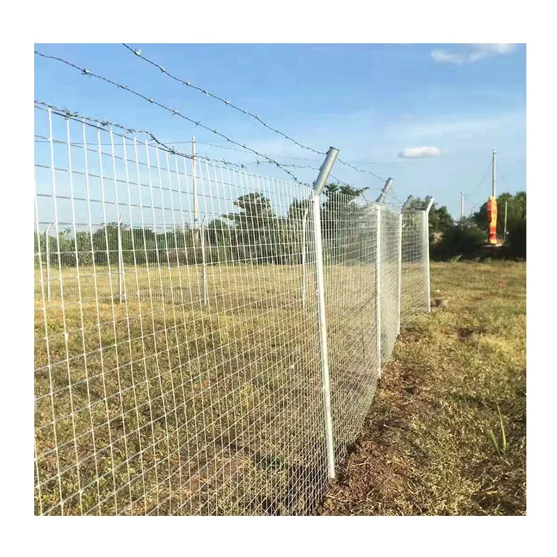 Chinese Supplier Modern Design PVC Coated Wire Mesh Garden Fence 2m Width