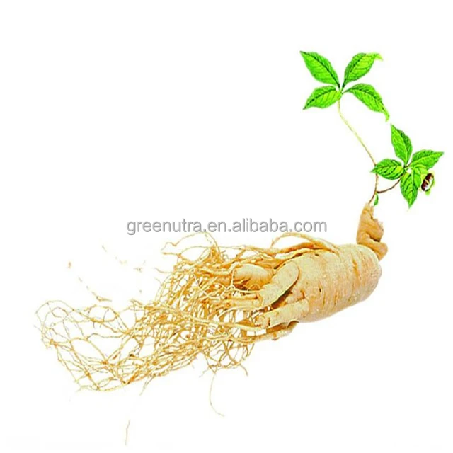 Fresh ginseng powder