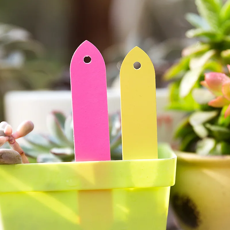 10X2cm Plants Labels Perforated PVC Plastic Hanging Labels Gardening Flower Succulent Plastic Waterproof Label