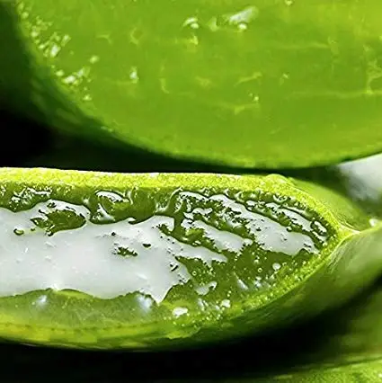 
OEM ODM 99.9% aloe vera gel prices for hair 