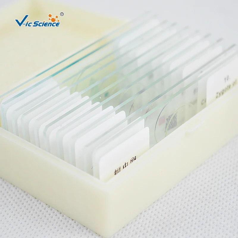 Factory produce microscope slides prepared slides in histology subject series teaching prepared slides 12 pcs set