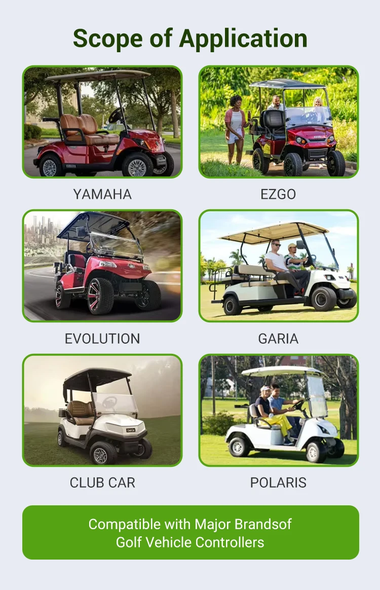 51.2V 100Ah Long-Lasting Sightseeing Car Ev Battery Pack Electric Bag Golf Cart Battery Electric Lithium Golf Cart Battery