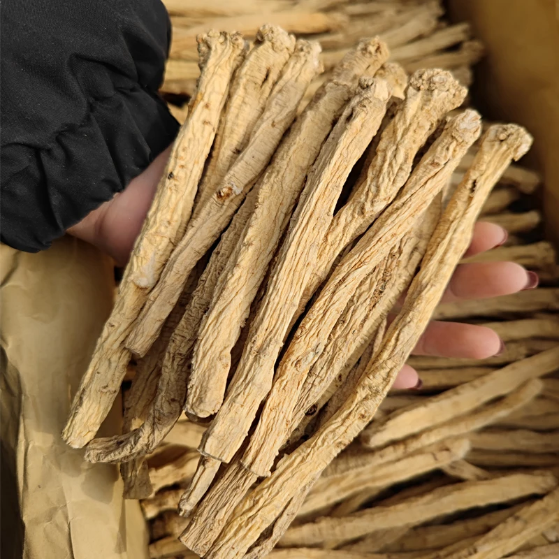 Wholesale artificial second class Chinese herb dangshen dried codonopsis health food Gansu Zhongzai