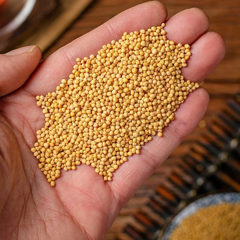 Qingchun Spices Factory Direct Sales yellow mustard  Spices whole mustard seeds