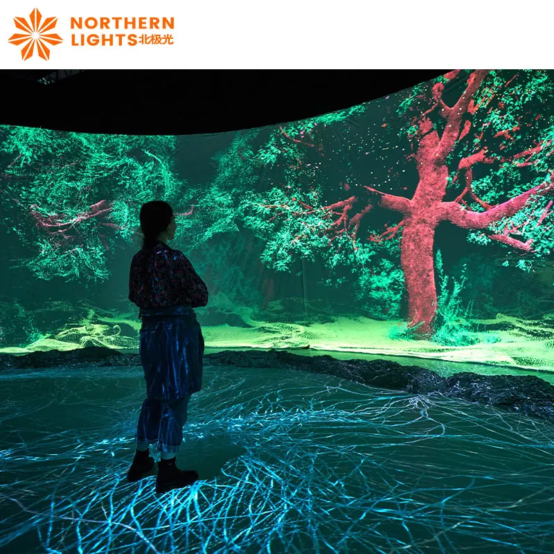 3D video virtual reality projector 3d holographic projection Wall interactive immersive 3d projection for Museum