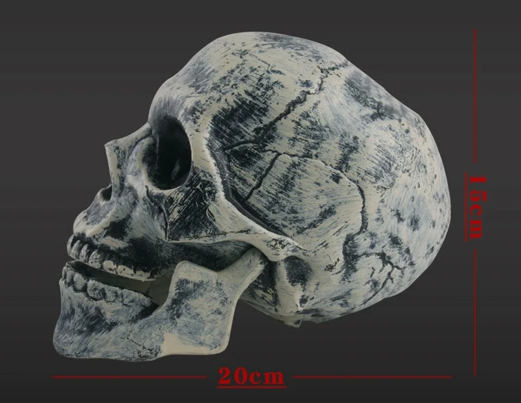2024 Halloween Set Of 3 Scary Joint Skulls Adjustable Foldable Yard Stake For Halloween Decoration