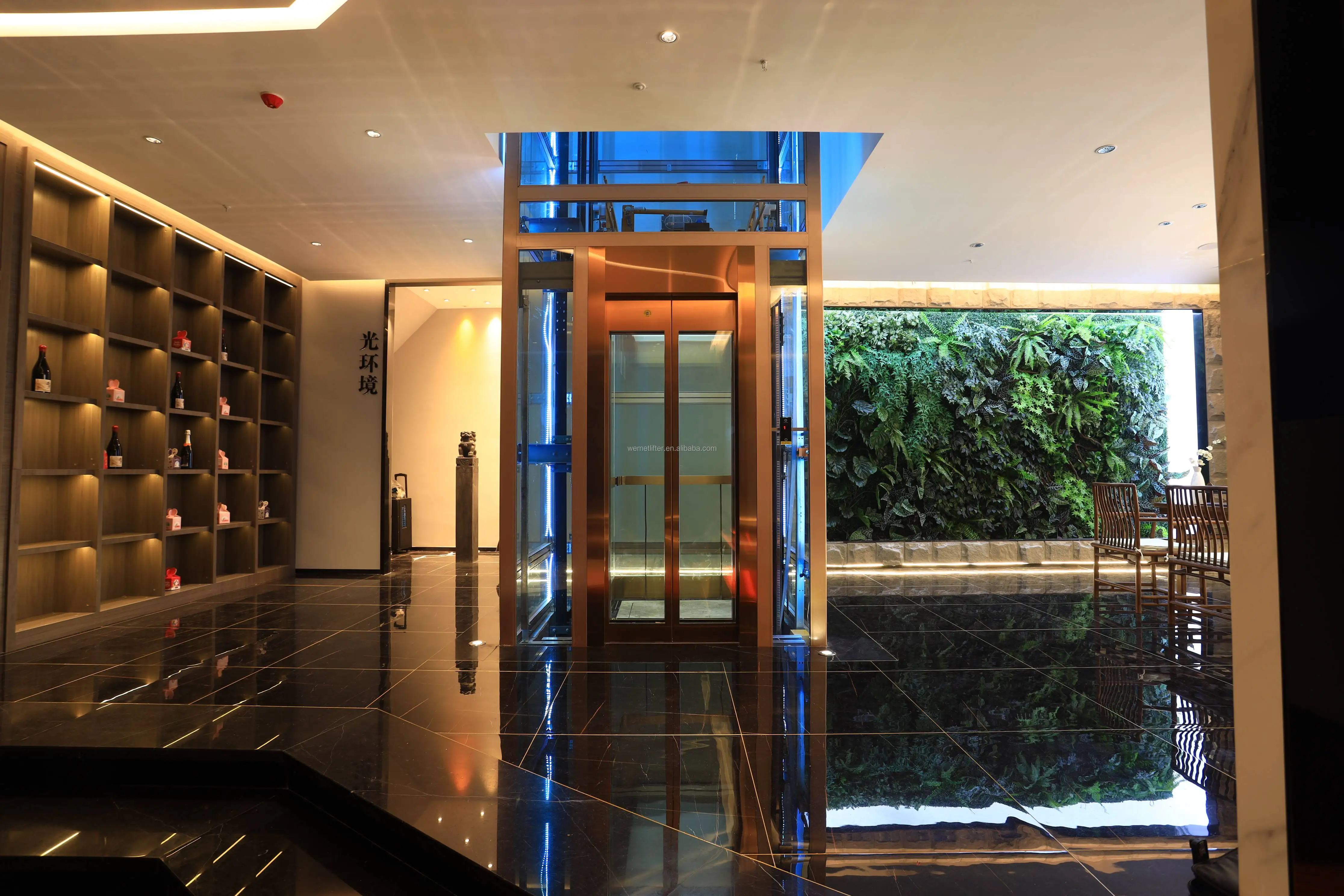 Elevator home lifts Electric Traction elevators for Luxury Villa
