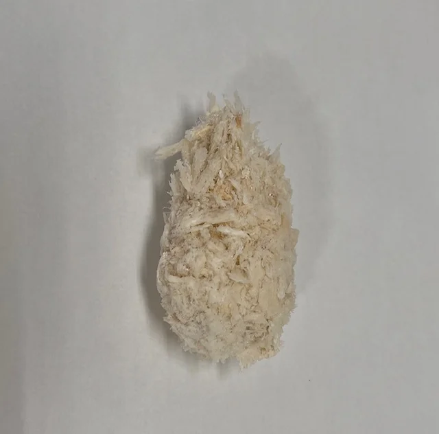 Breadcrumbs Kaki Furai Frozen Fresh Meat Dish Japanese Wholesale Seafood Fried Oysters
