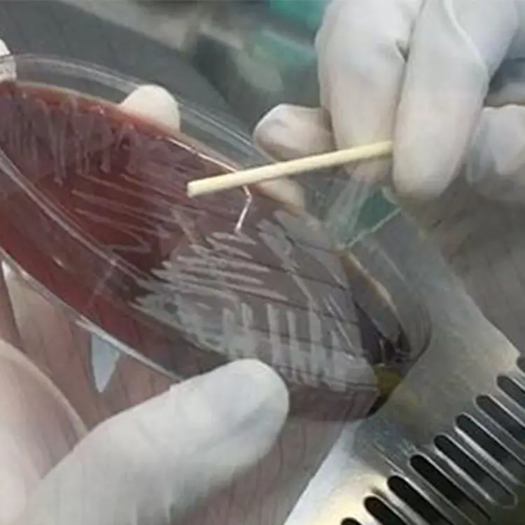 Desktop High-Precision Mass Spectrometer System Portable Microbial Mass Spectrometer