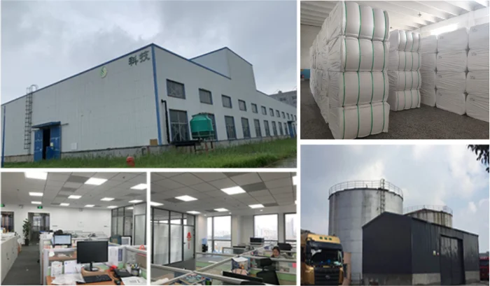 Company Information.png