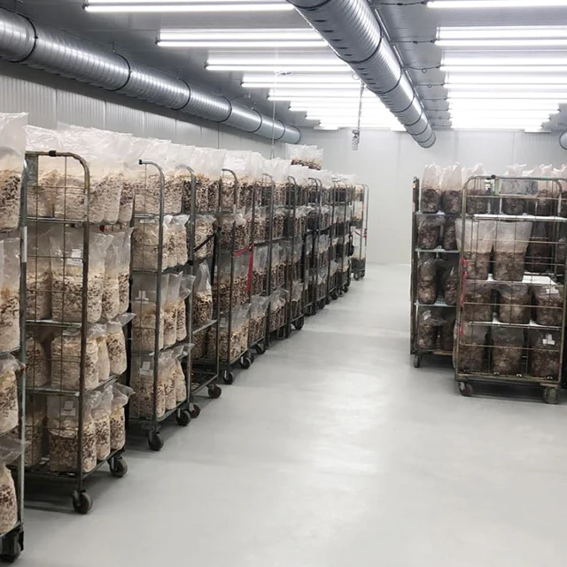 T14 waterproof 6500K tube lamp led grow light full spectrum waterproof mushroom led lighting