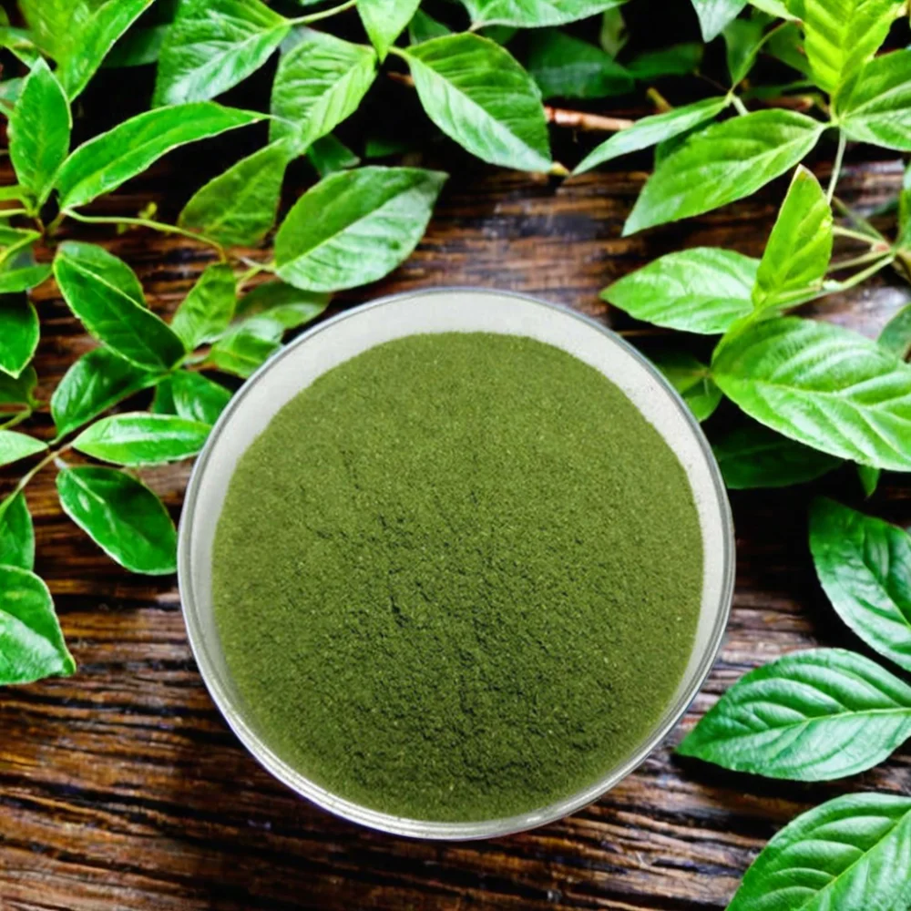 Natural Vegetable Spinach Juice Powder 100% water soluble