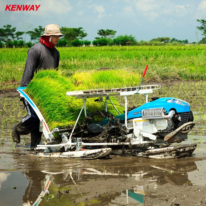  2021 New Walk-Behind 4 Rows Manual Rice Transplanter Walking Planting