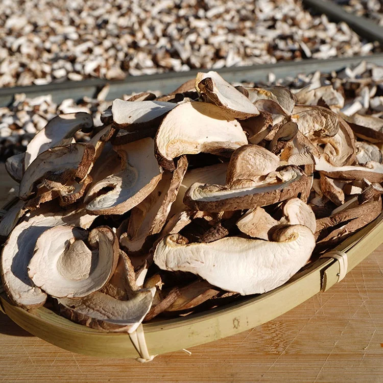 
high quality dried shitake mushroom organic dried food high quality shiitake mushroom wholesale price 