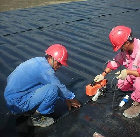 Plastic Waterproof LDPE HDPE Geomembranes Pond Liner For Aquaculture Fish Tank Farming Equipment
