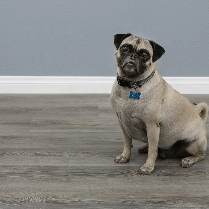 
2mm thickness Glue Down vinyl Planks plastic LVT floating PVC Flooring vinyl 