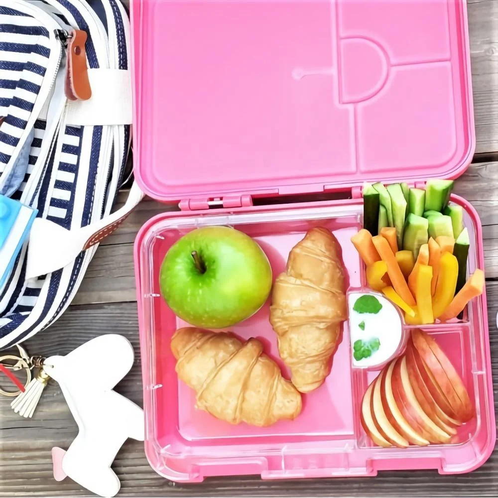 Wholesale Bento Boxes Microwave Lunch Box with Lock