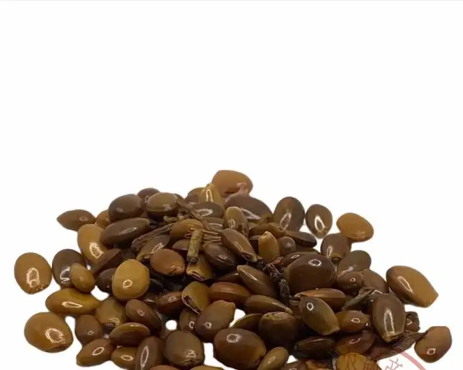 1kg Raw Dried Natural Star Anise Seeds Star Anise Seeds for Sale