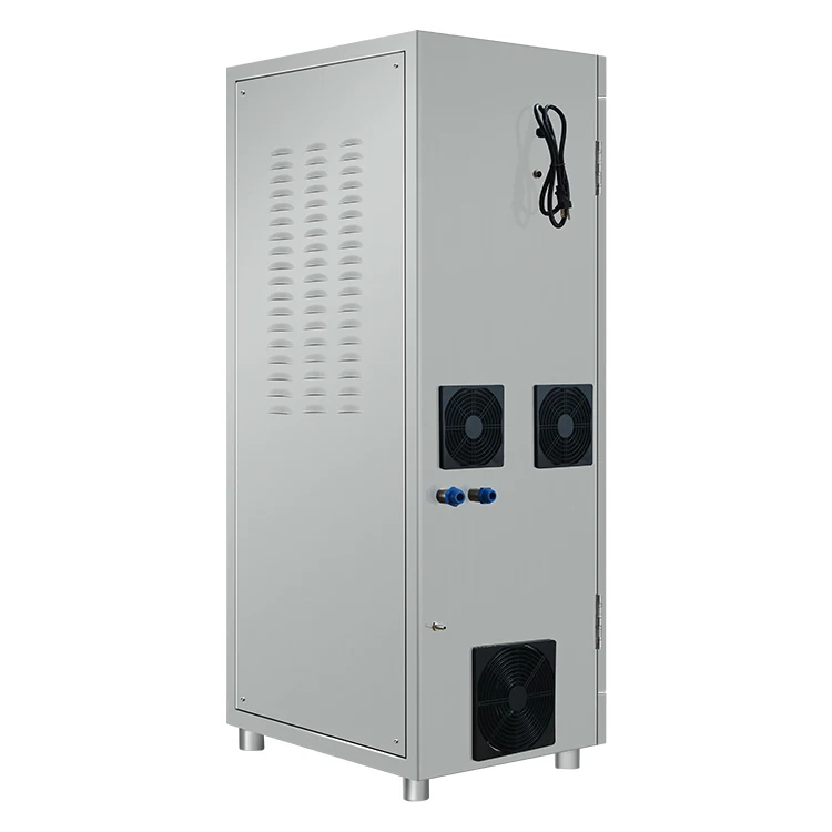 Large Ozone Generator 100G 200G Water Treatment Machinery PLC Control High Concentration Ozone Generator