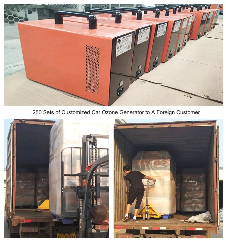 
Aojie Custom Commercial Ozone Generator Odor Removal for Car and Room Portable Ozone Air Sterilizer 
