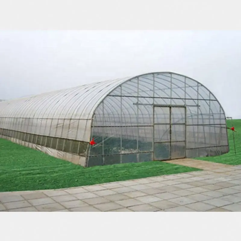Mushroom greenhouse plastic cover panda film,8 mil black white agricultural film,UV treated 20ft wide poly plastic sheet