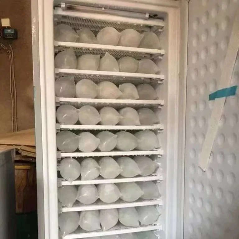 60-70KG/24h Ice production Solar Ice maker freezer