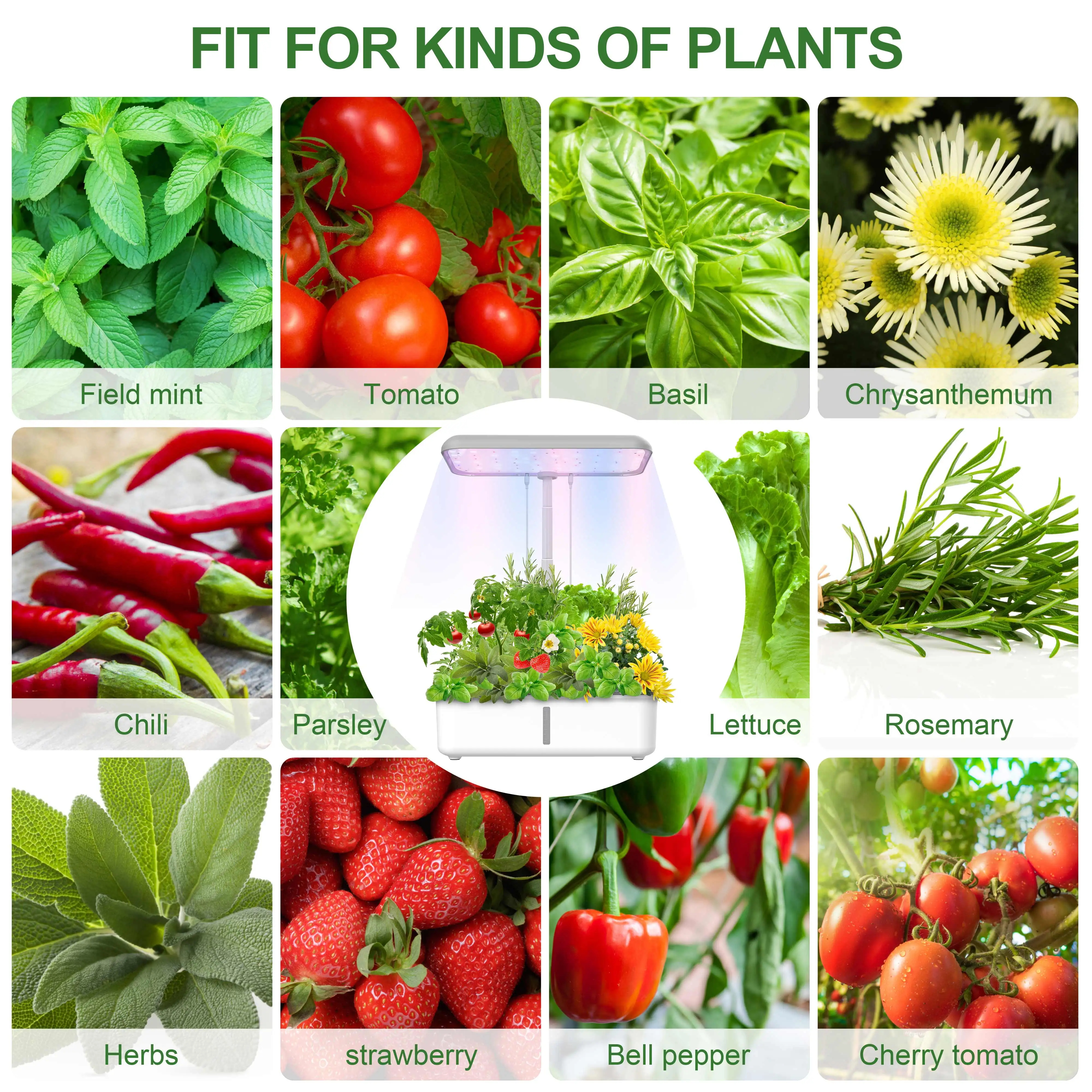 Wholesale height adjustable grow LED plant light lettuce WiFi smart indoor garden hydroponics systems