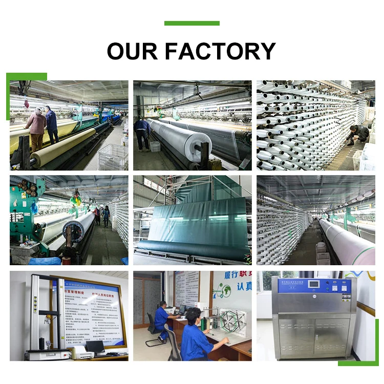 Hdpe White Or Green Color High Density Strong Anti-Insect Net