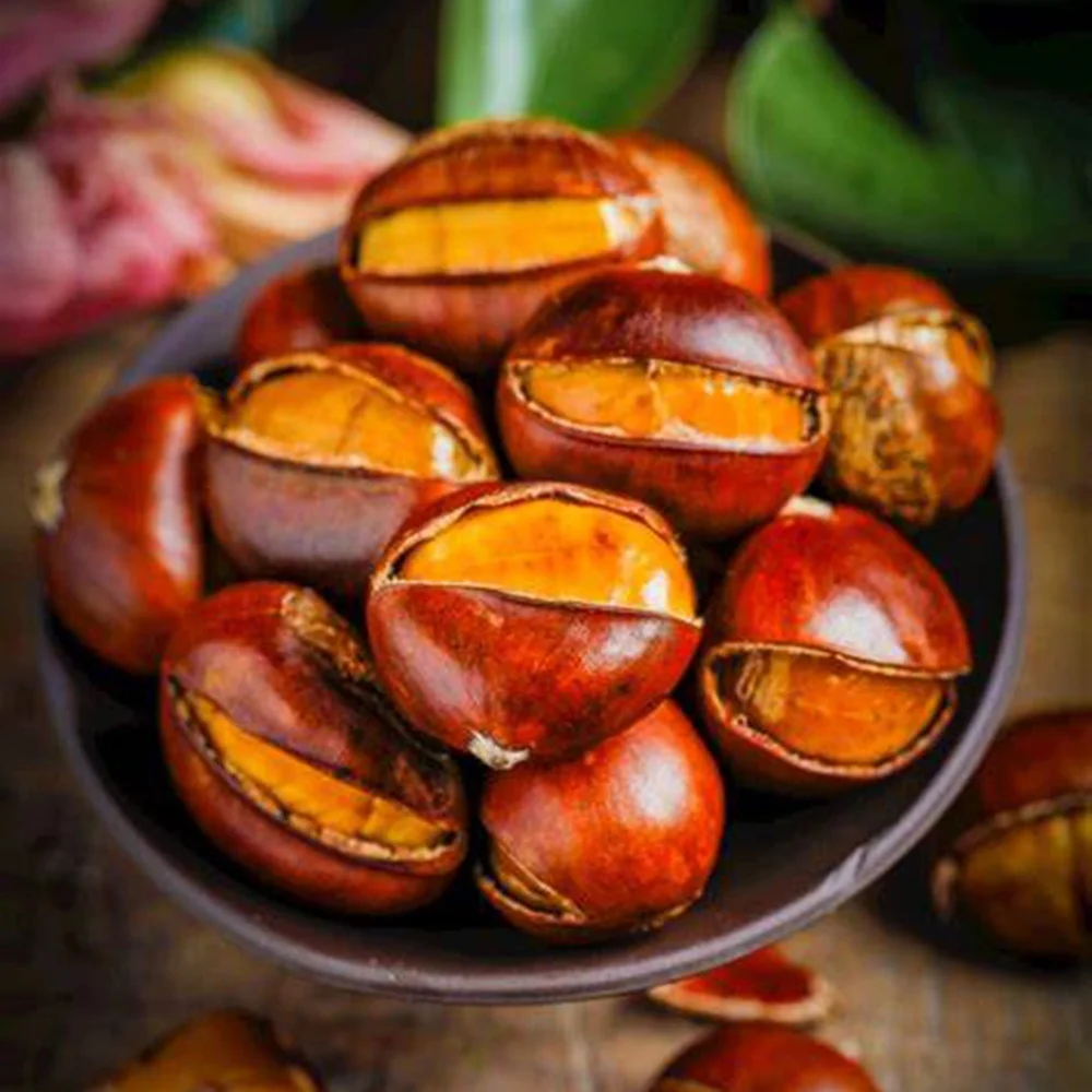 Wholesale Chestnuts individual package Chestnuts cheap prices