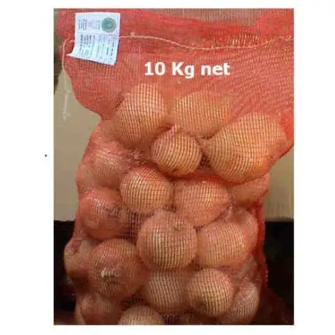 Fresh vegetables Holland onions from China  fresh exporters in Mesh Bags