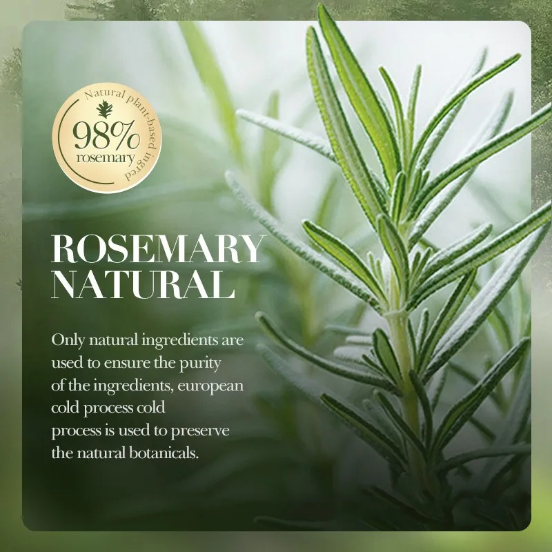Own brand rosemary moisturizing shampoo long-lasting fragrance mint anti-dandruff anti-itch refreshing oil-control shampoo