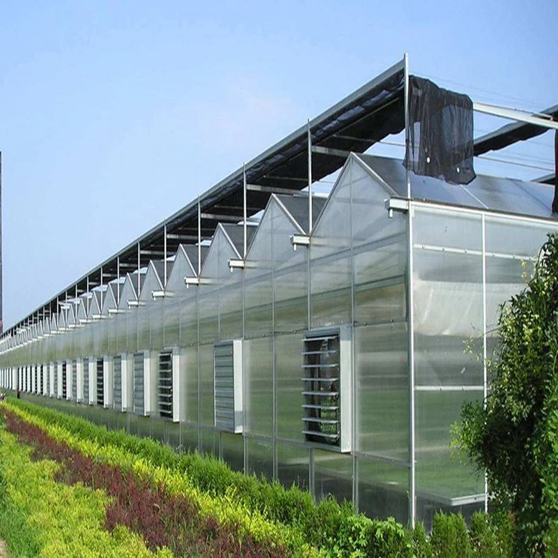 10 Years Warranty 10mm Polycarbonate Sheet Agricultural Greenhouses  for Sale