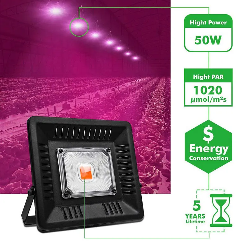 full spectrum light.jpg