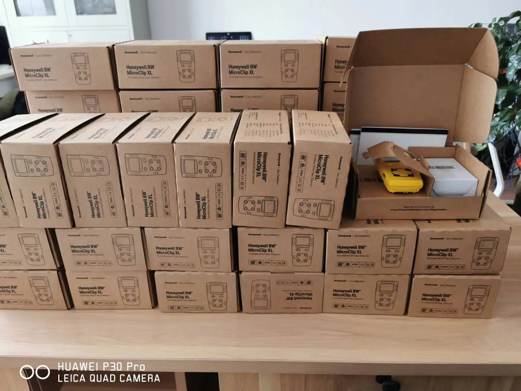 BW мульти-детектор газа 4 в 1 детектор утечки газа для НПВ O2 CO H2S MAX XT II генераторная установка, работает на метане, детектор