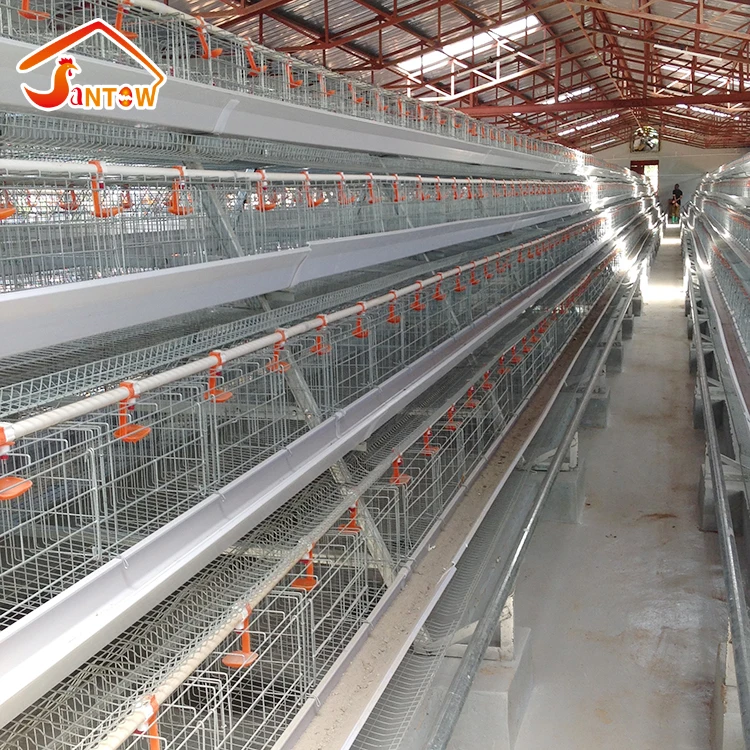 Chicken Poultry Layer Cages System