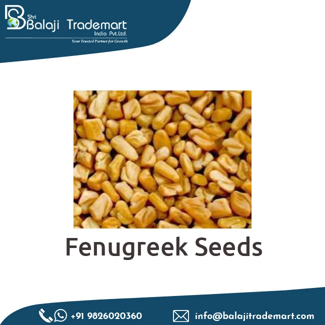 Exclusive Sale Globally Famous Sortex Cleaned Natural Fenugreek Seeds at Wholesale Price