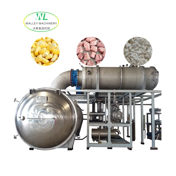 Hot Sale Large Scale Industrial Vacuum Freeze Dryer for Sweet Corn Food Lyophilizer Strawberry Freeze Drying Equipment