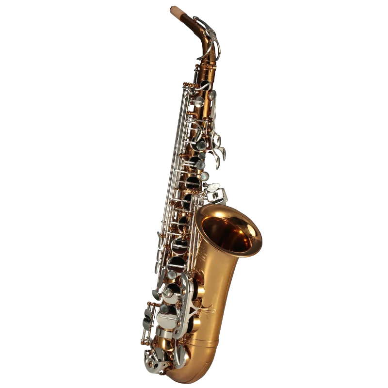 Musical Instruments High F# Eb Key Golden Lacquer Alto Saxophone RSA-9902s