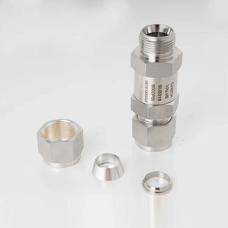 
Custom High Quality Stainless Steel Inline Straight Spring Parts Check Valve 