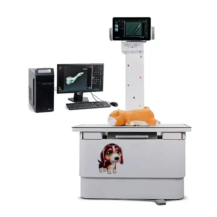 Medical Xray System Digital Vet X Ray High Frequency Veterinary X-ray Machine with Panels