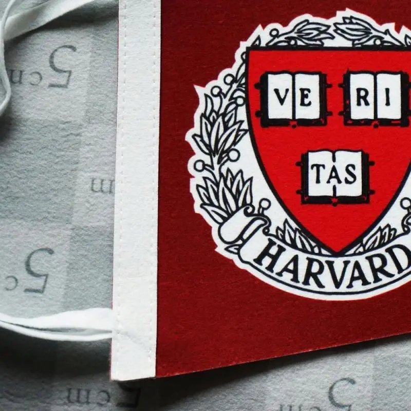 Full color print 30x45cm School Activity  Mini Felt Flag With Logo For Football Games