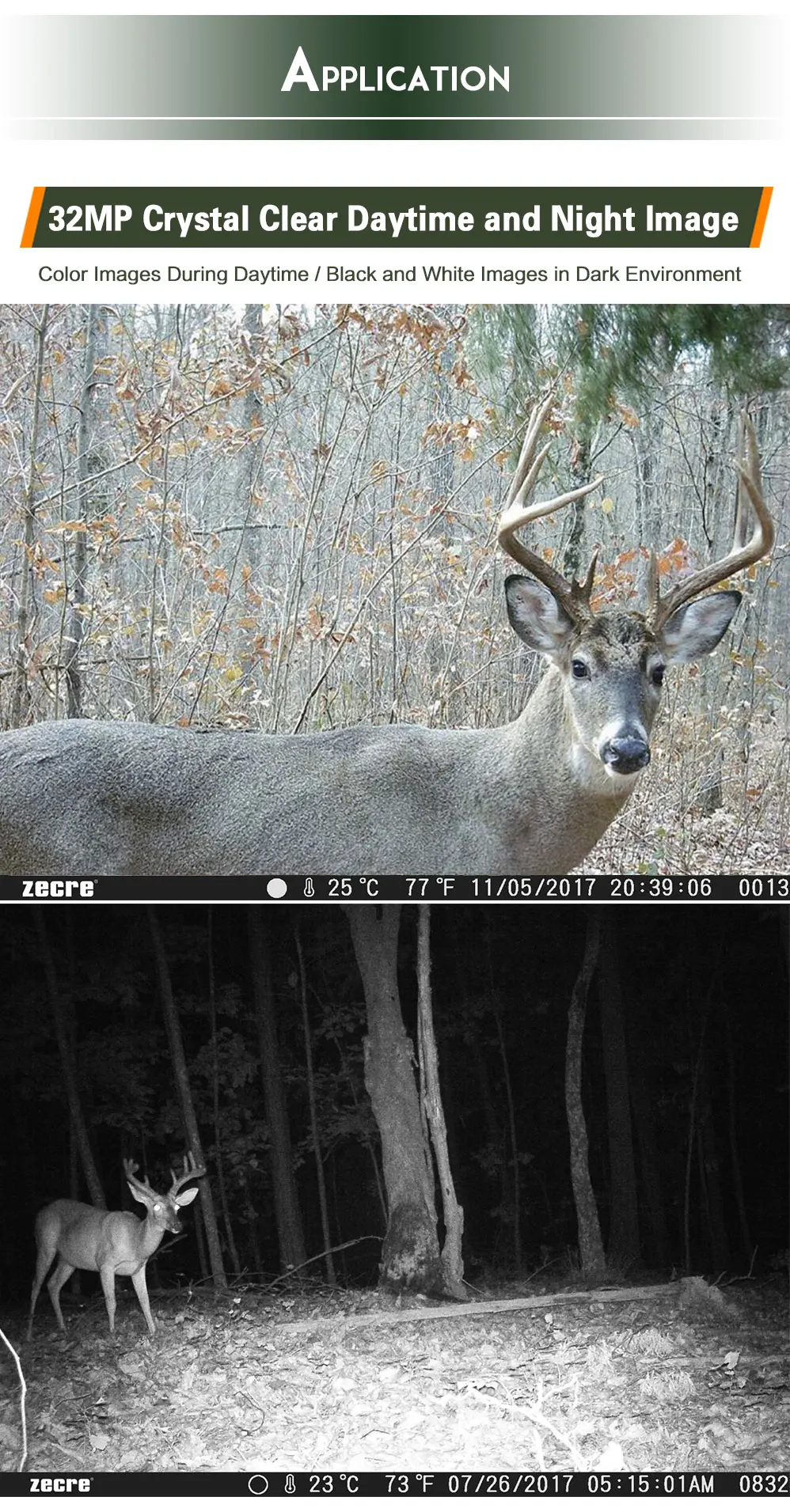 wifi hunting trail camera.jpg