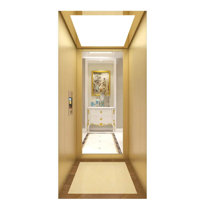 Luxury Design Villa Use Elevator High Quality Indoor Sightseeing Style Home Lift