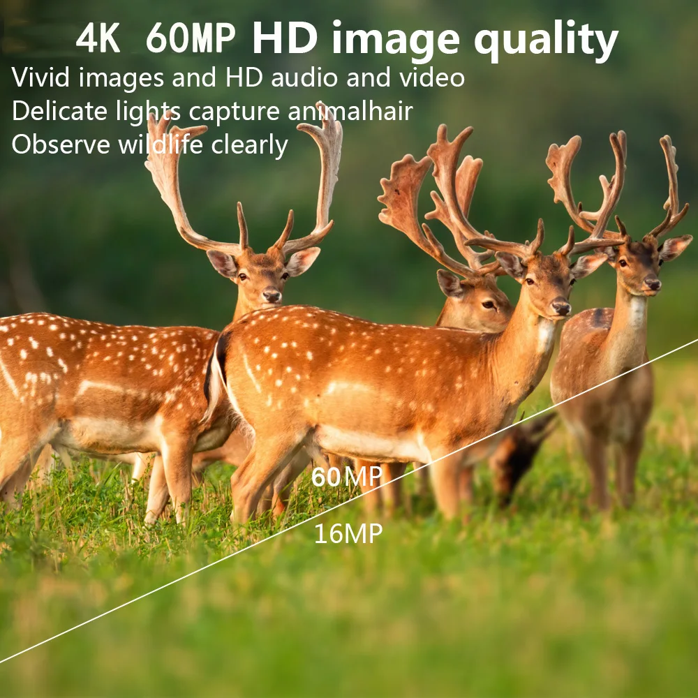 Мини-охотничья камера с экраном 4K 60Mp Охотничья ночная съемка и функция записи Cmos